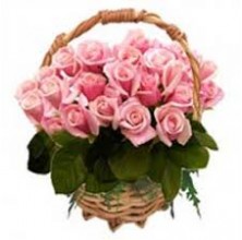 Blooming Love - 24 Stems In Basket